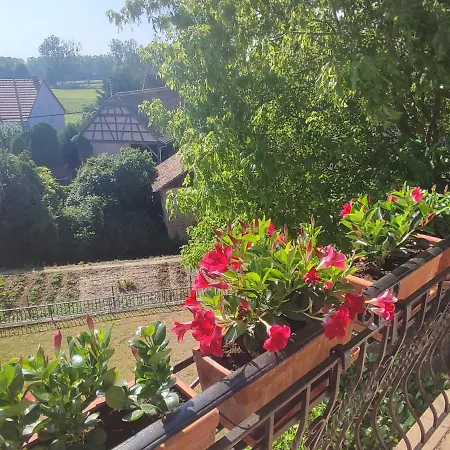 Des Rives De L'ehn *